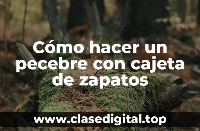 Cómo hacer un pecebre con cajeta de zapatos