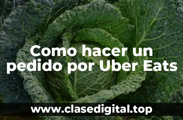 Como hacer un pedido por Uber Eats