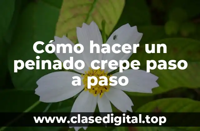 Cómo hacer un peinado crepe paso a paso