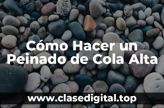 Cómo Hacer un Peinado de Cola Alta