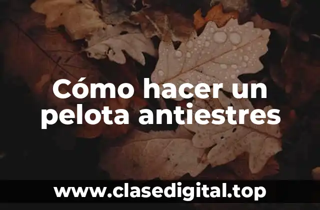 Cómo hacer un pelota antiestres