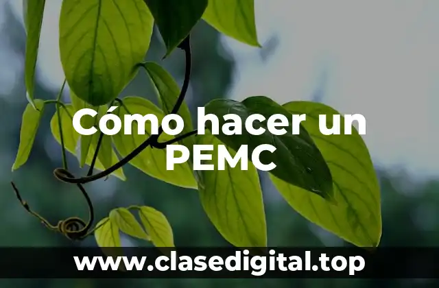 Cómo hacer un PEMC