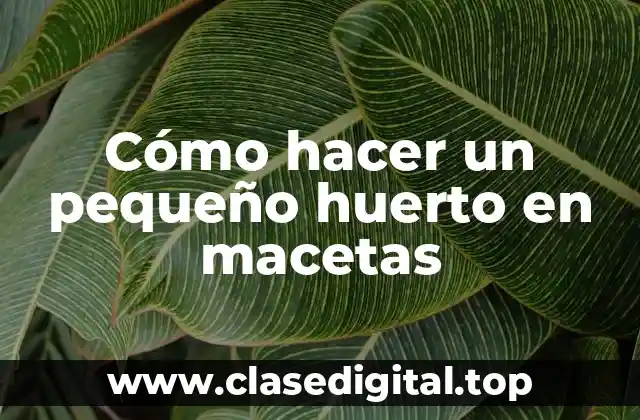 Cómo hacer un pequeño huerto en macetas