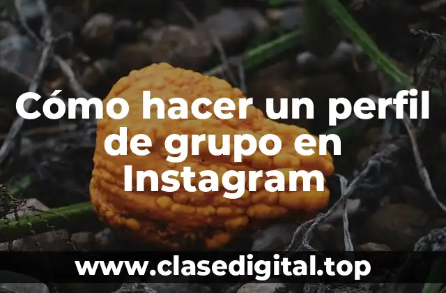 Cómo hacer un perfil de grupo en Instagram
