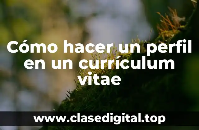 Cómo hacer un perfil en un currículum vitae