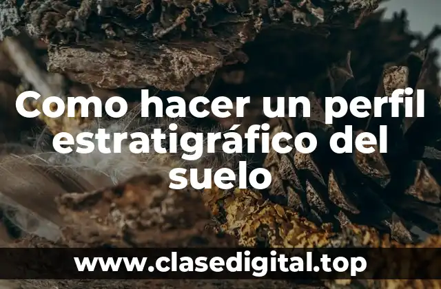 Como hacer un perfil estratigráfico del suelo