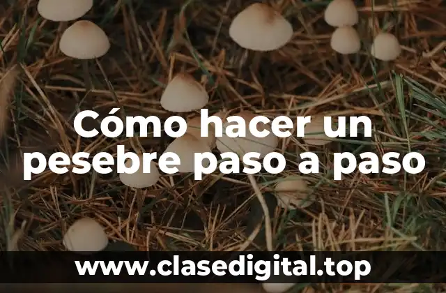 Cómo hacer un pesebre paso a paso