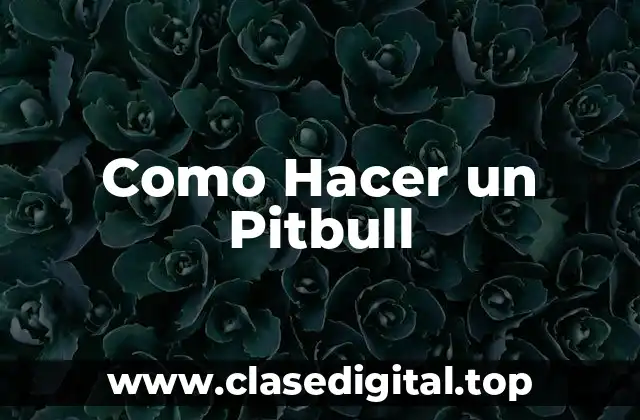 Como Hacer un Pitbull