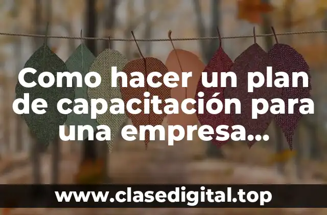 Como hacer un plan de capacitación para una empresa ejemplo
