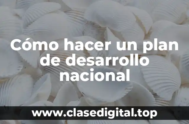 Cómo hacer un plan de desarrollo nacional