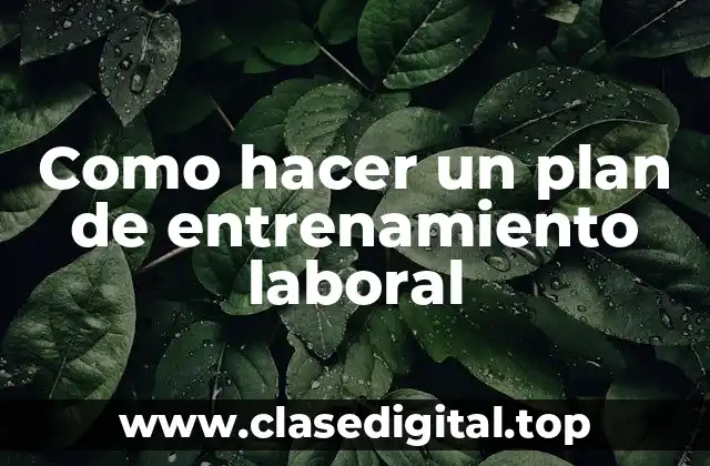 ¿Qué es un plan de entrenamiento laboral?