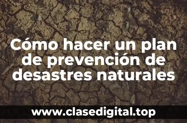Cómo hacer un plan de prevención de desastres naturales