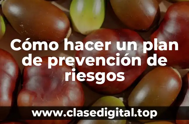 ¿Qué es un plan de prevención de riesgos y para qué sirve?