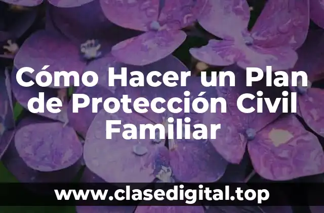 Cómo Hacer un Plan de Protección Civil Familiar