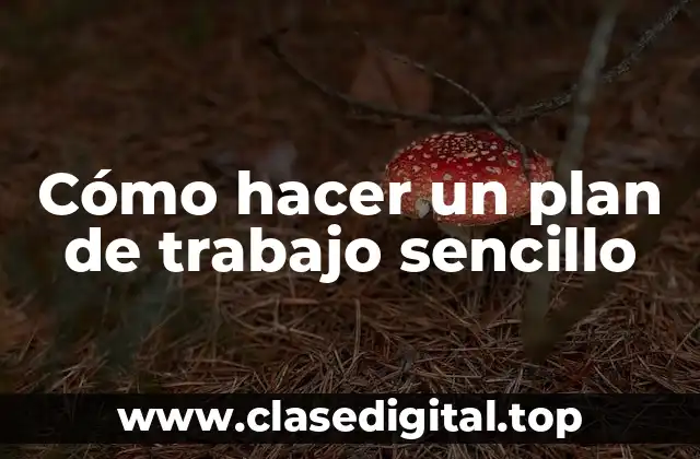 Cómo hacer un plan de trabajo sencillo
