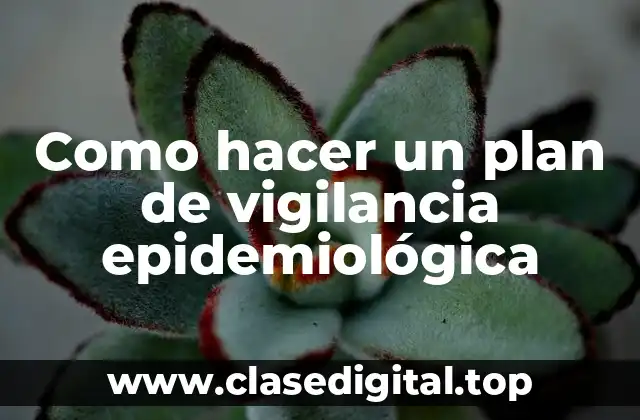 Como hacer un plan de vigilancia epidemiológica