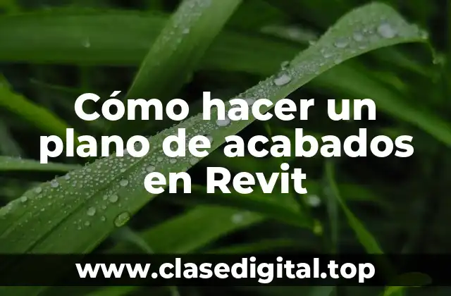 Cómo hacer un plano de acabados en Revit