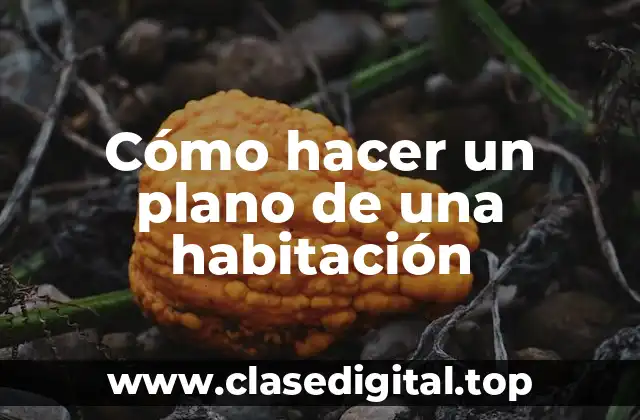 Cómo hacer un plano de una habitación