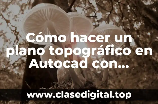 Cómo hacer un plano topográfico en Autocad con coordenadas