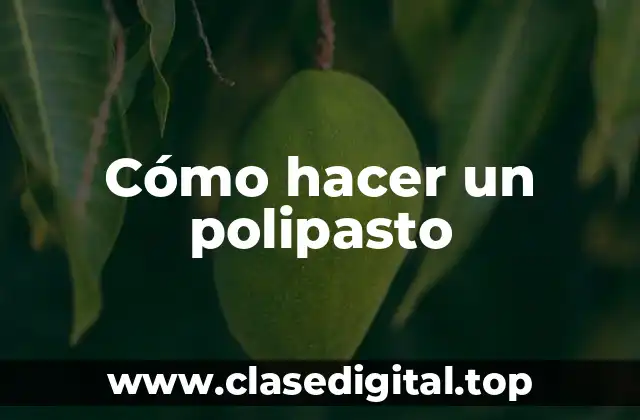 ¿Qué es un polipasto?