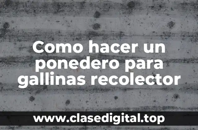 Como hacer un ponedero para gallinas recolector