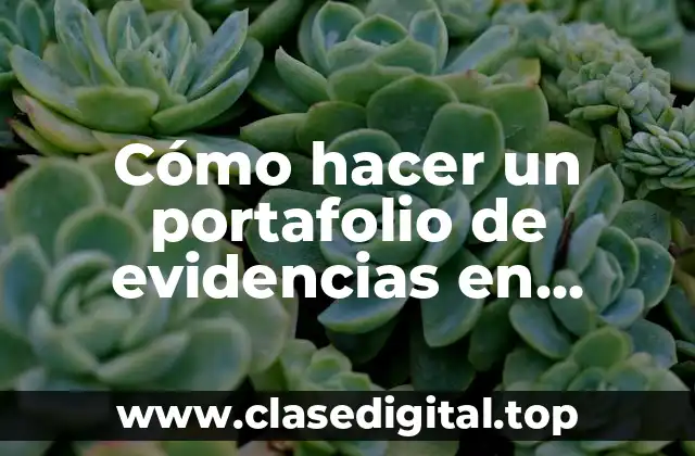 Cómo hacer un portafolio de evidencias en OneDrive