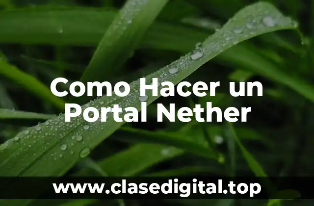 Como Hacer un Portal Nether