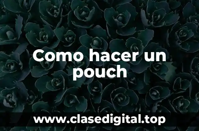 Como hacer un pouch