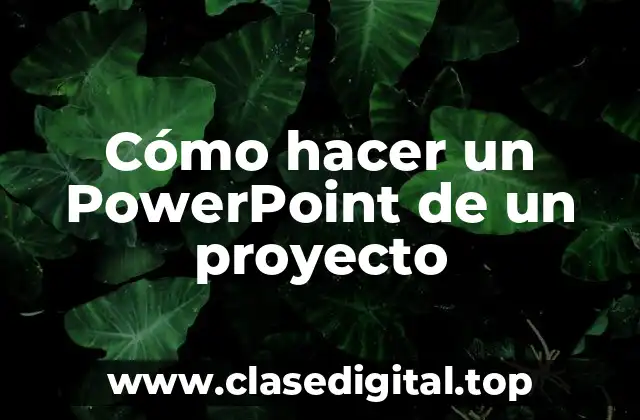 Cómo hacer un PowerPoint de un proyecto