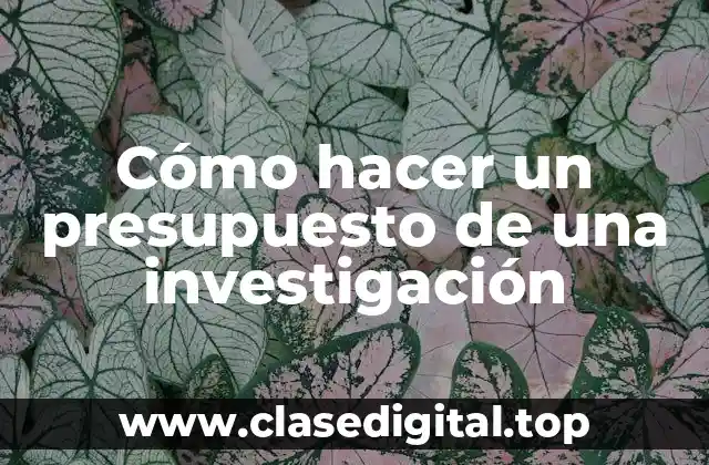 Cómo hacer un presupuesto de una investigación