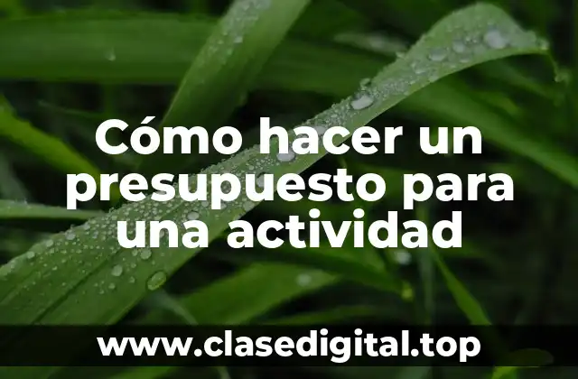 Cómo hacer un presupuesto para una actividad