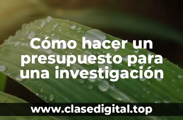 Cómo hacer un presupuesto para una investigación