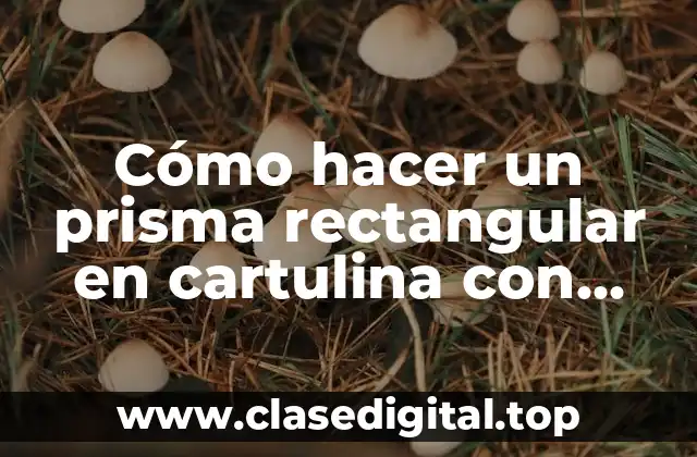 Cómo hacer un prisma rectangular en cartulina con medidas