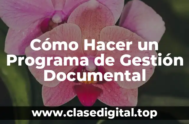 Cómo Hacer un Programa de Gestión Documental