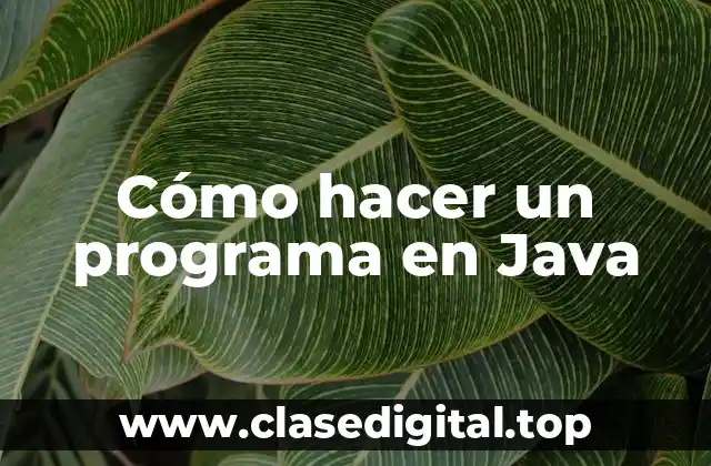 Cómo hacer un programa en Java
