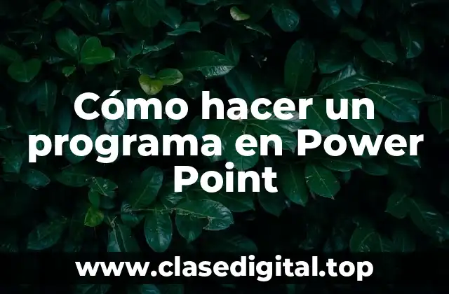 Cómo hacer un programa en Power Point