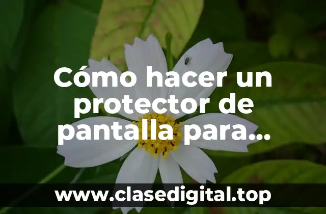 Cómo hacer un protector de pantalla para computadora