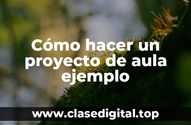 Cómo hacer un proyecto de aula ejemplo