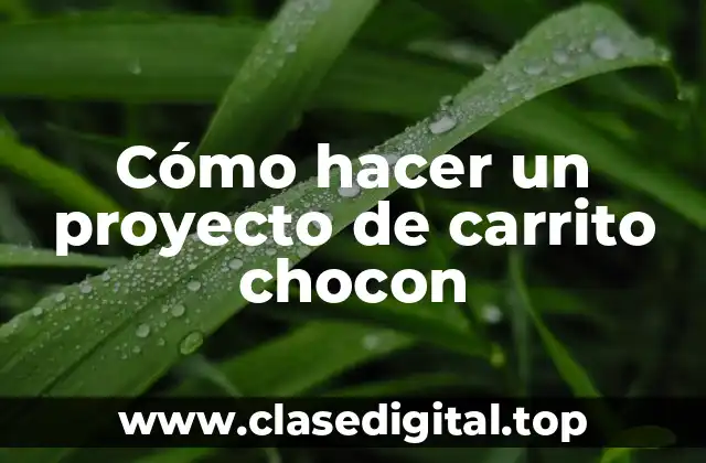 Cómo hacer un proyecto de carrito chocon