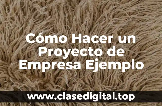 Cómo Hacer un Proyecto de Empresa Ejemplo