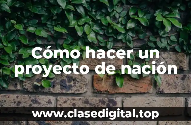 Cómo hacer un proyecto de nación
