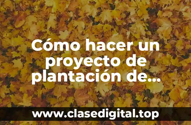 Cómo hacer un proyecto de plantación de iglesias