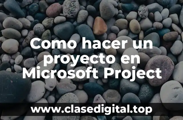 Como hacer un proyecto en Microsoft Project