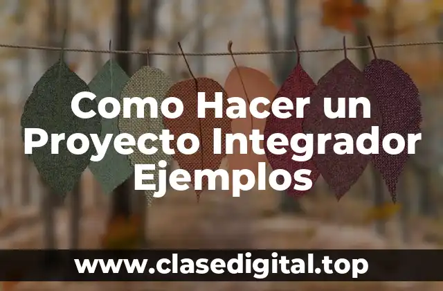 Como Hacer un Proyecto Integrador Ejemplos
