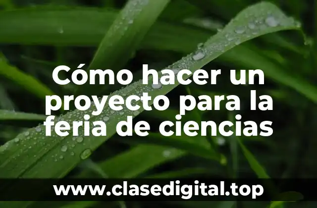 Cómo hacer un proyecto para la feria de ciencias