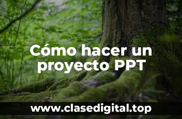 Cómo hacer un proyecto PPT