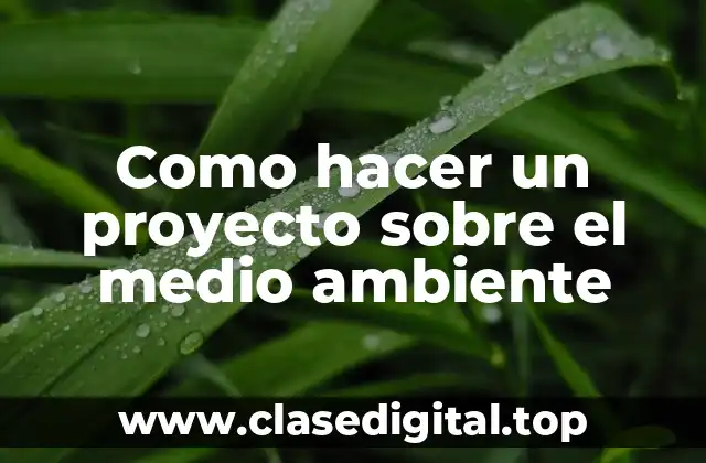 Como hacer un proyecto sobre el medio ambiente