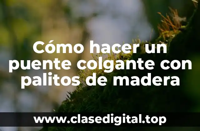 Cómo hacer un puente colgante con palitos de madera