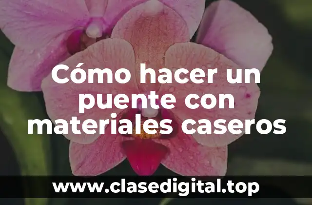 Cómo hacer un puente con materiales caseros