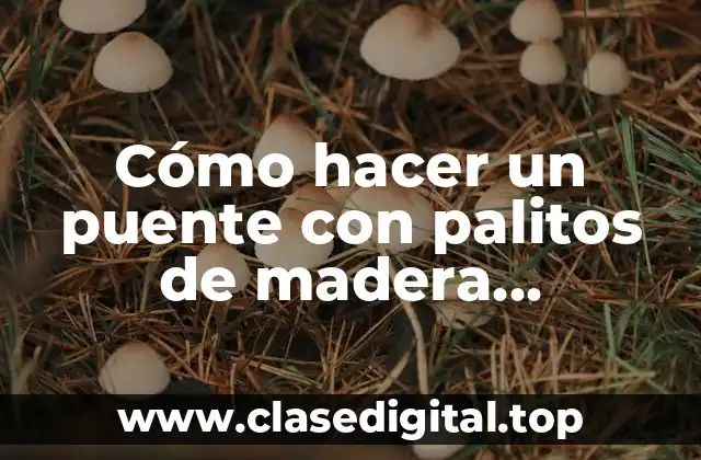 Cómo hacer un puente con palitos de madera resistente